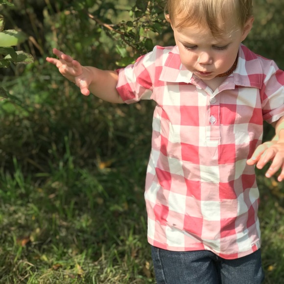 Well dressed wolf (Omi Jo) 18 mo. Boy collared cotton shirt - Picture 5 of 6